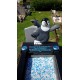 Penguin Character Memorial